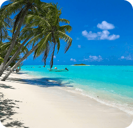 Islamorada Sandbar